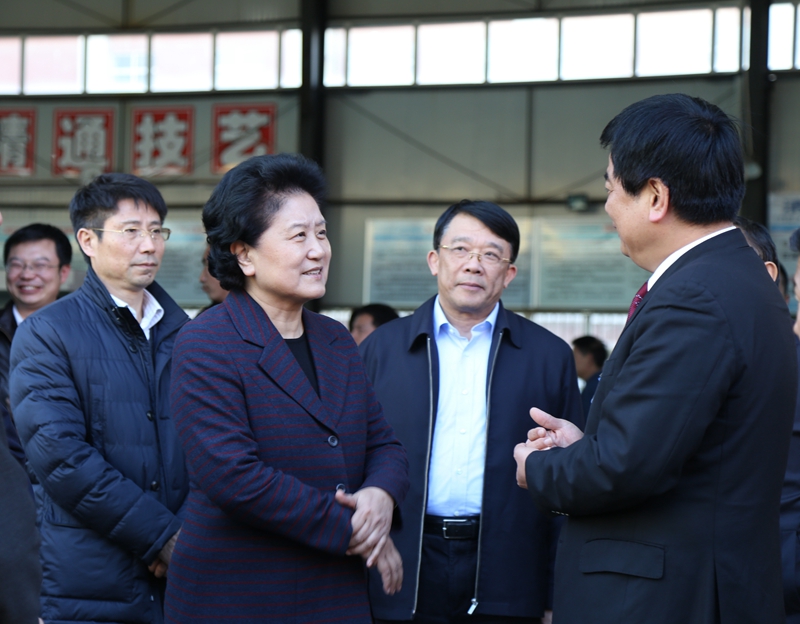 中共中央政治局委員、國(guó)務(wù)院副總理劉延?xùn)|在教育部副部長(zhǎng)朱之文，四川省教育廳廳長(zhǎng)朱世宏等陪同下視察四川應(yīng)用技術(shù)職業(yè)學(xué)院_副本.jpg